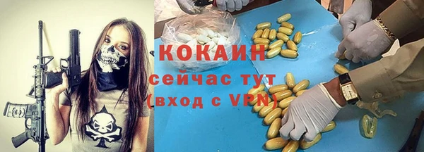 дживик Алексин